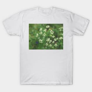 Cow Parsley T-Shirt